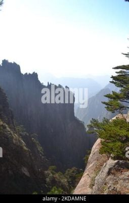 黃山奇石在哪裏?談論奇石的生態保護與旅遊開發